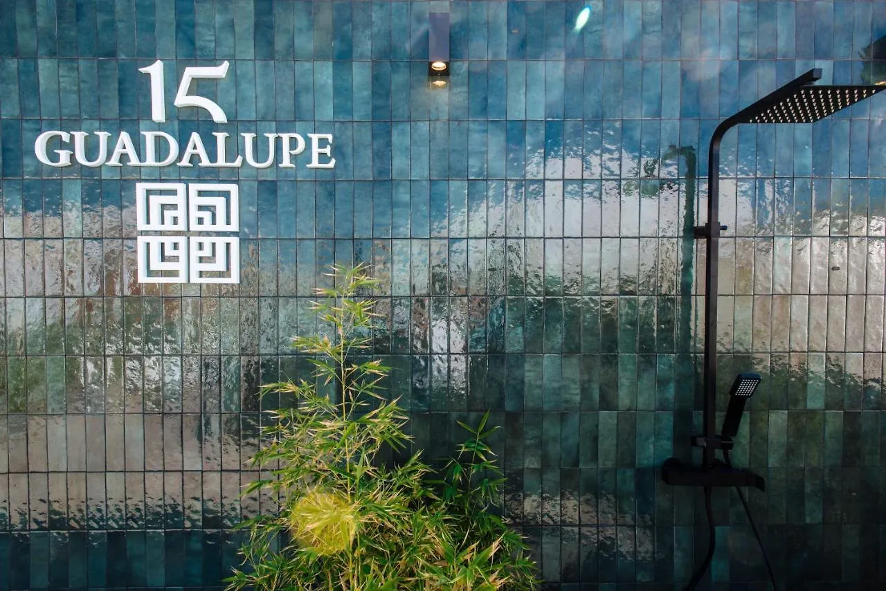 Apartment Guadalupe 15 By Magno - Penthouse With Private Solarium & Jacuzzi